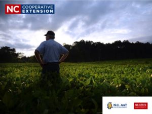 N.C. Cooperative Extension Co-brand Logo separation example 2