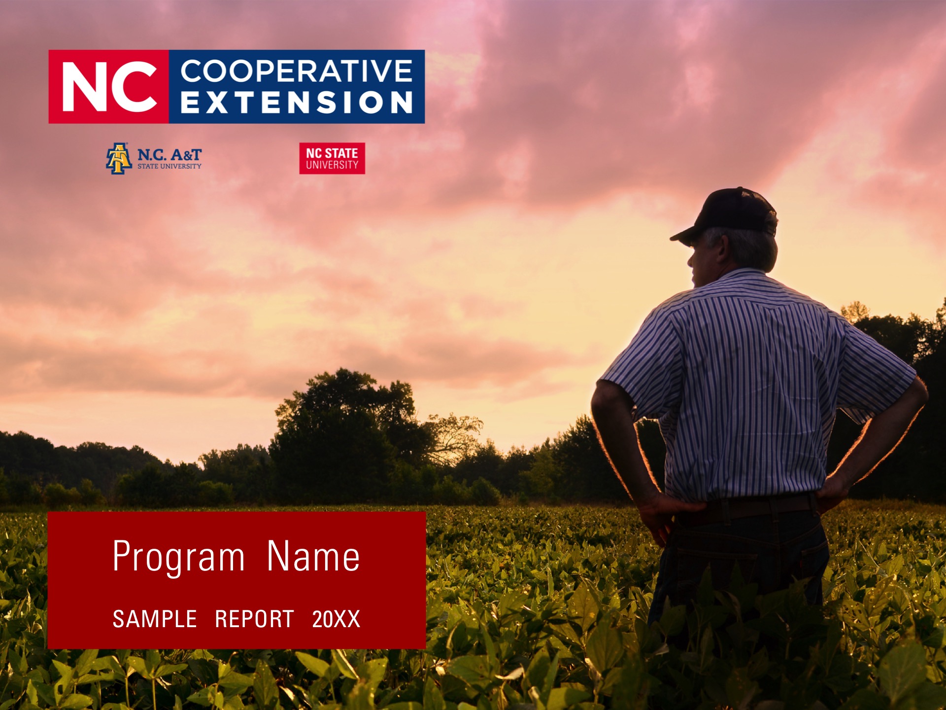 North Carolina Cooperative Extension program branding example for a report.