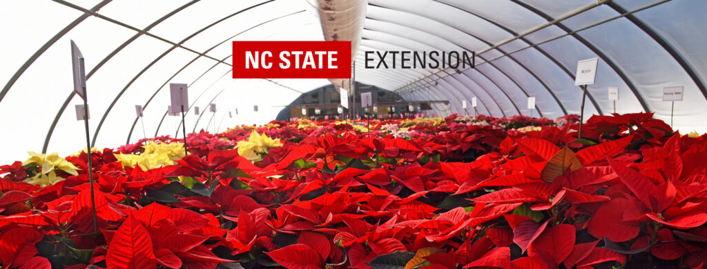 Facebook cover banner template for NC State Extension.